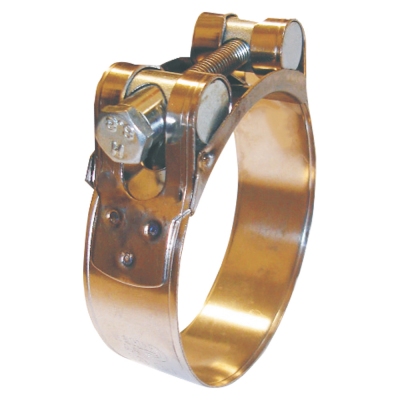 ABRAZADERA INOX. TORNILLO HEX"T"22MMX60