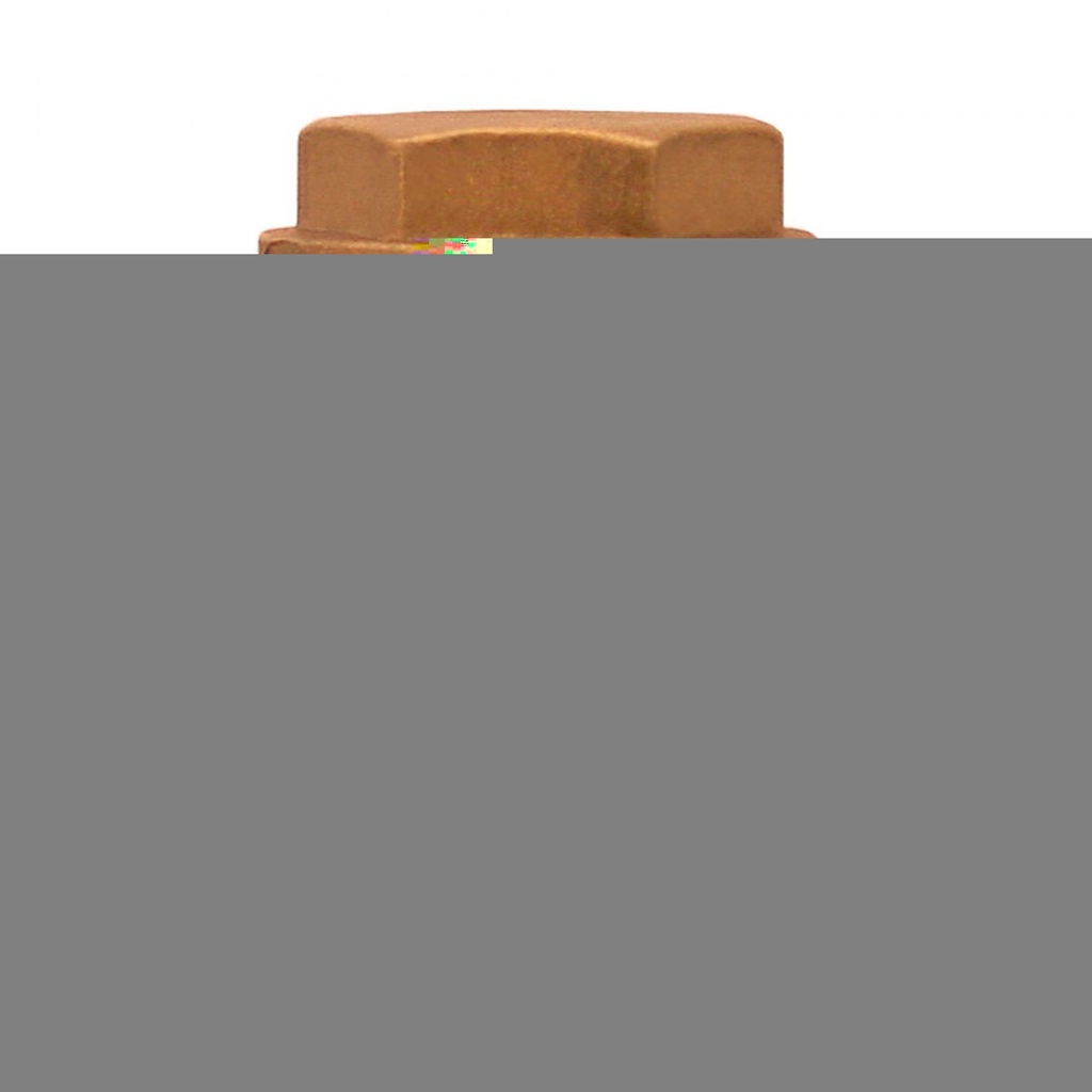 51MM.VALVULA CHECK HORIZONTAL ROSCAR