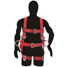 Arnes posicion 40-44