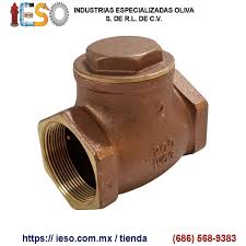 [87T.51] 602224-VALVULA CHECK DE 2"